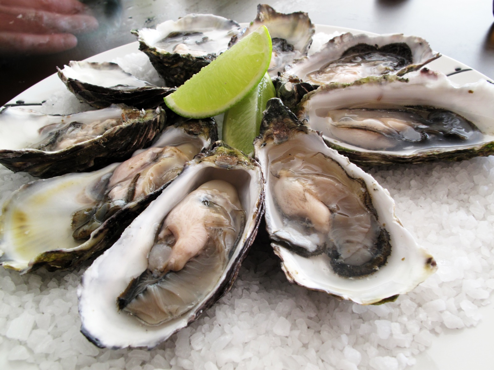 Pacific oysters on the half shell with lime